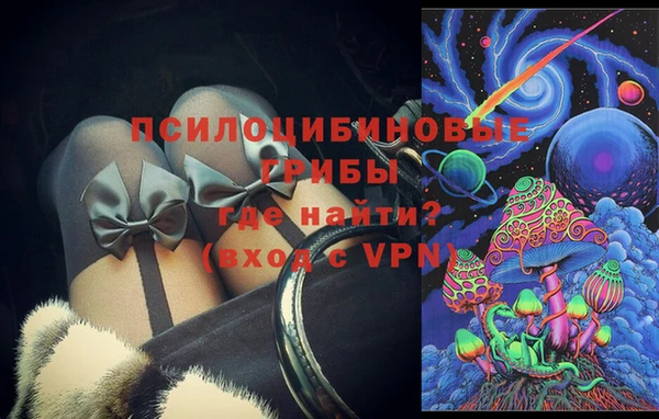 амф Магас