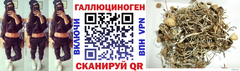 Псилоцибиновые грибы Psilocybine cubensis Абинск