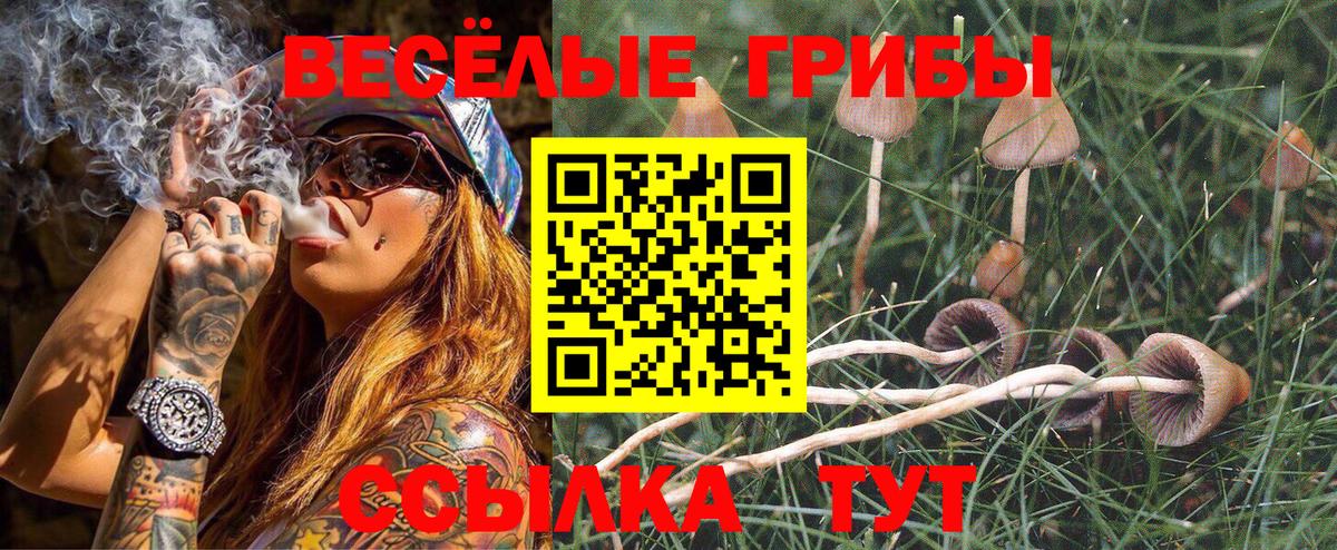 Псилоцибиновые грибы мухоморы  Вход с VPN  купить наркоту  Абинск  Галлюциногенные грибы MAGIC MUSHROOMS 