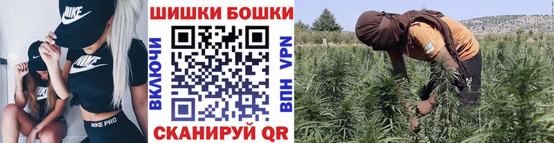 Конопля сатива  как найти наркотики  hydra ссылка  Абинск 
